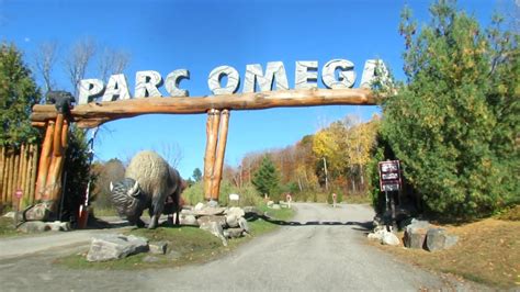 parco omega canada|parc omega montebello canada.